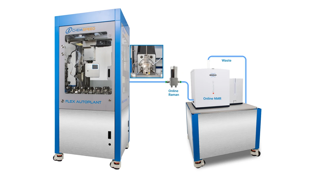 Online Raman Nmr